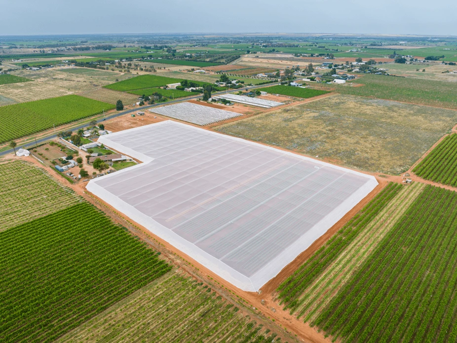 Redpath Netting Structures